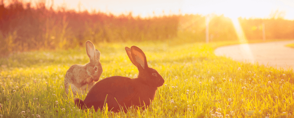 Easter Trading Hours