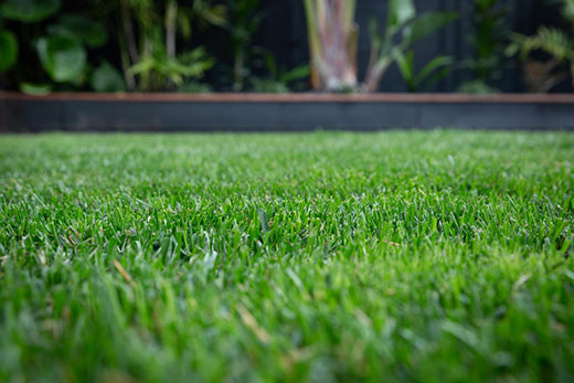 Winter Wellness for the Lawn