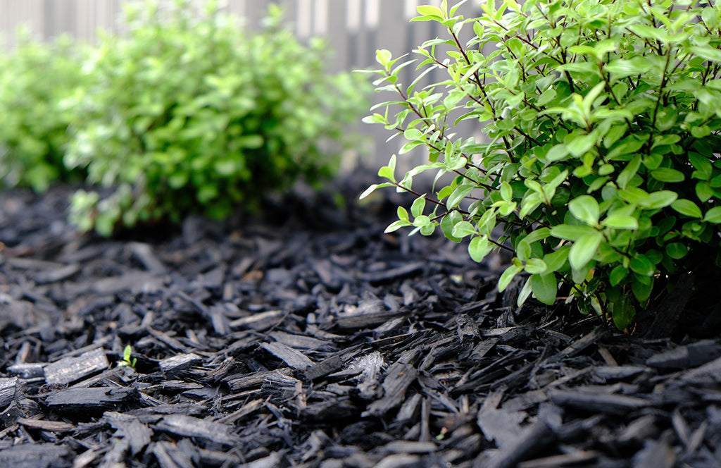 Premium Black Mulch